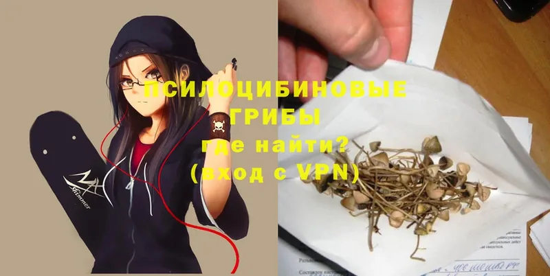 Псилоцибиновые грибы Psilocybe  что такое наркотик  Катав-Ивановск 